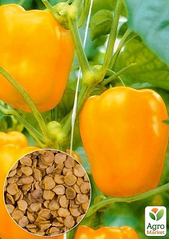 На вагу Перець "Помаранчеве диво" ТМ "Весна" ціна за 1г