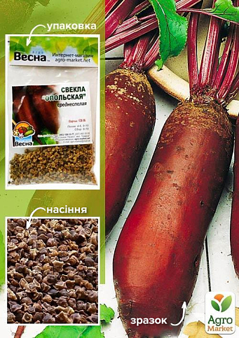 Свекла "Опольская" (Зипер) ТМ "Весна" 6г