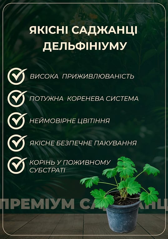 Дельфиниум гибридный "Dark Blue Dark Bee"