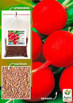 Редис "Сакса" ТМ "Весна" 100г4