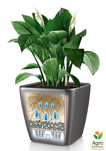 Розумний вазон з автополивом Lechuzа Quadro Premium LS 35, сіро-коричневий (16165) - фото 3