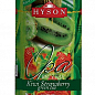 Чай зелений (Ківі-полуниця) ТМ "Хайсон" 100г упаковка 24шт купить