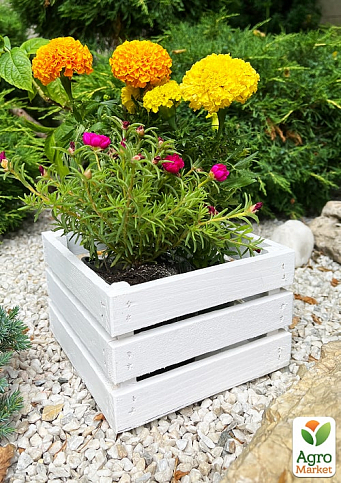 Ящик декоративный деревянный для хранения и цветов "Джусино" д. 22см, ш. 20см, в. 13см. (белый) - фото 3