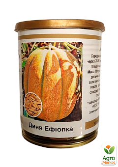 Дыня "Эфиопка" (в банке) ТМ "Весна" 100г11