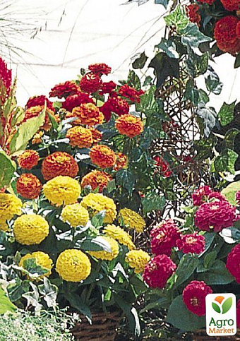Комплект семян цветов в зиппере "Цветущий сад" 15уп