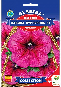 Петунія "Лавина пурпурова F1" ТМ "GL SEEDS" 10шт1