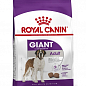 Royal Canin Giant Adult Сухой корм для взрослых собак очень крупных размеров 15 кг (7030790)
