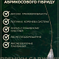 Гібрид слива + абрикос "Плумкот" 1саженец в упаковці. цена