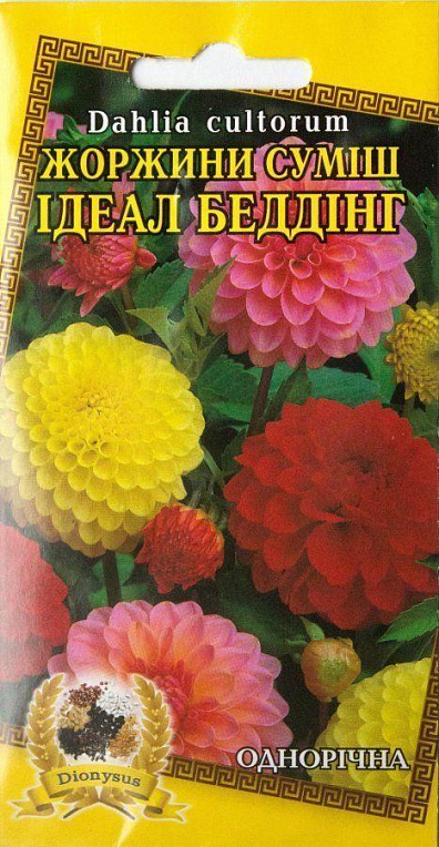 Георгина смесь "Идеал Беддинг" ТМ "Dionysus" 0.3г