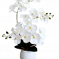 Орхидея искусственная на 3 веточки в белом вазоне (ОБ1881)