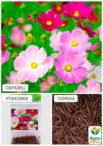 Космея смесь(Зипер) ТМ "Весна" 1г - фото 3