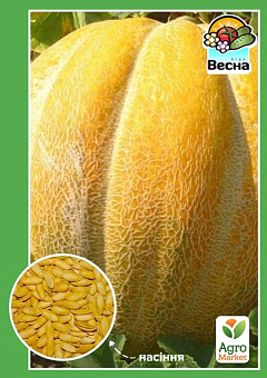 Дыня "Эфиопка" ТМ "Весна"  1,5г6