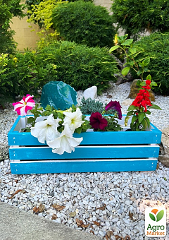 Ящик дерев'яний для зберігання декору та квітів "Франческа" довжина 44см, ширина 17см, висота 13см. (синій)1