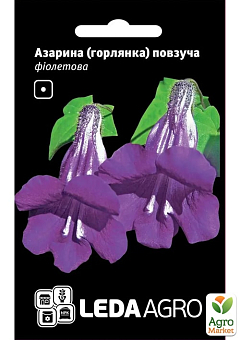 Азарина "Фіолетова" ТМ "Leda Agro" 4шт1
