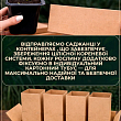 Павловнія бузкова "Адамове дерево" (красивоквітучий сорт) вазон Р9 цена
