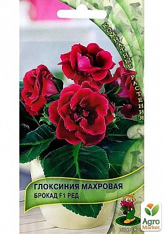Глоксиния махровая "Брокад Ред" ТМ "Поиск" 5шт19