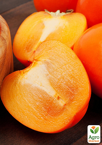 Хурма на виргинском морозостойком подвое "Шарон" высший сорт!