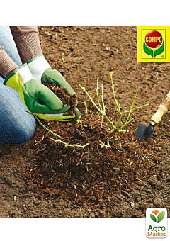 Твердое удобрение для активации корневой системы COMPO Agrosil 0,7 кг (0704)22