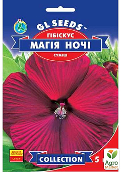 Гібіскус "Магія ночі" ТМ "GL SEEDS" 5шт2