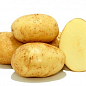 Картопля "Челенджер" насіннєва пізня (1 репродукція) 1кг купить