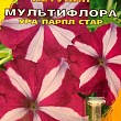 Петуния Мультифлора "Ура Парпл Стар" ТМ "Май" 10шт