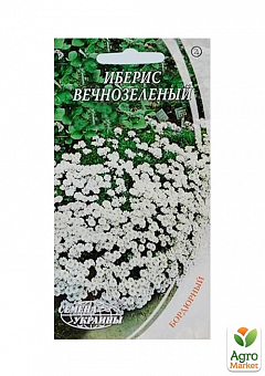 Иберис вечнозеленый ТМ "Семена Украины" 0.1г1