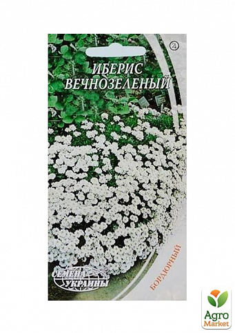 Иберис вечнозеленый ТМ "Семена Украины" 0.1г