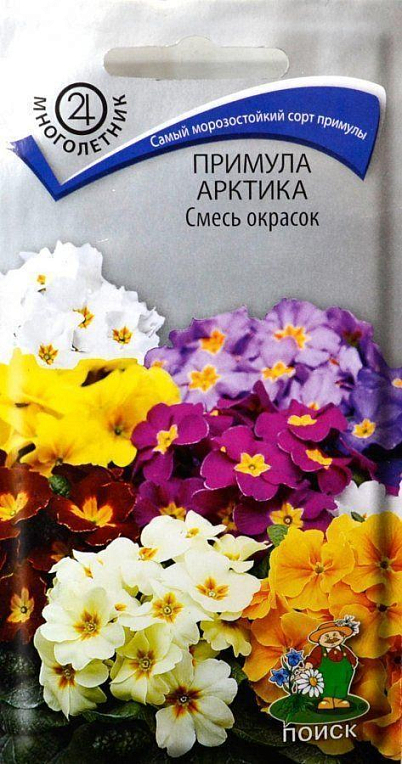 Примула Арктика "Суміш забарвлень" ТМ "Пошук" 20шт