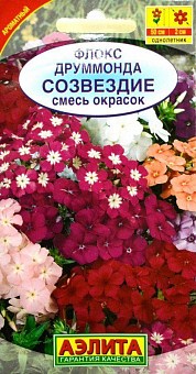 Флокс Друммонда Созвездие "Смесь Окрасок" ТМ "АЭЛИТА" 0.3г21