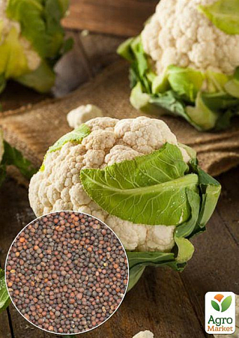 На развес Капуста цветная "Снежный гигант" ТМ "Весна" цена за 1,5г