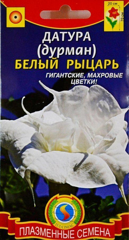 Датура (дурман) "Білий лицар" ТМ "Плазмас" 4шт