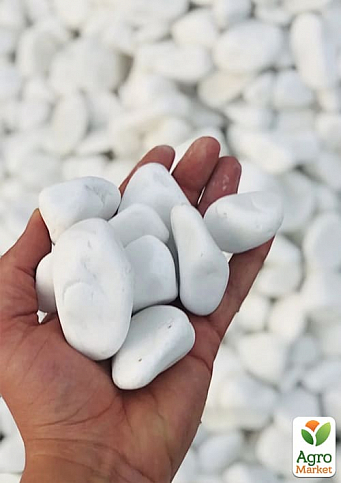 Декоративне каміння Галька біла "Доломіт" фракція 40-60 мм 3 кг - фото 2