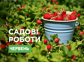 Садові роботи у червні 2022 - корисні статті про садівництво від Agro-Market