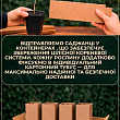 Гибискус древовидный махровый "Freedom"  цена