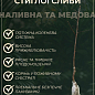 Слива "Кишинівська рання" (літній сорт, ранній термін дозрівання) купить