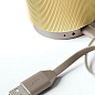 Портативный динамик Lexon Fine Speaker светлое золото (LA98D6)  купить