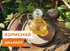 Амарантова олія: користь, що приготувати - корисні статті про садівництво від Agro-Market