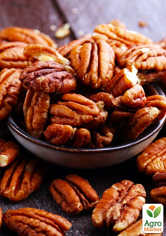 Орех Пекан "Super Stuart" 4-х летний саженец (ранний срок созревания)