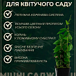 Клематис "Crystal Fountain" купить