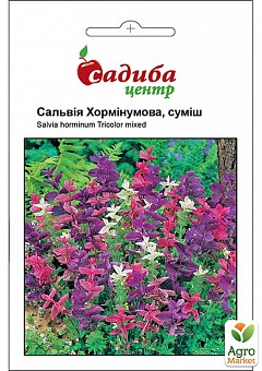 Сальвія «Хормінумова» ТМ «Садиба центр» 0.2г2