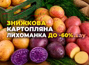Знижкова картопляна лихоманка до -60%