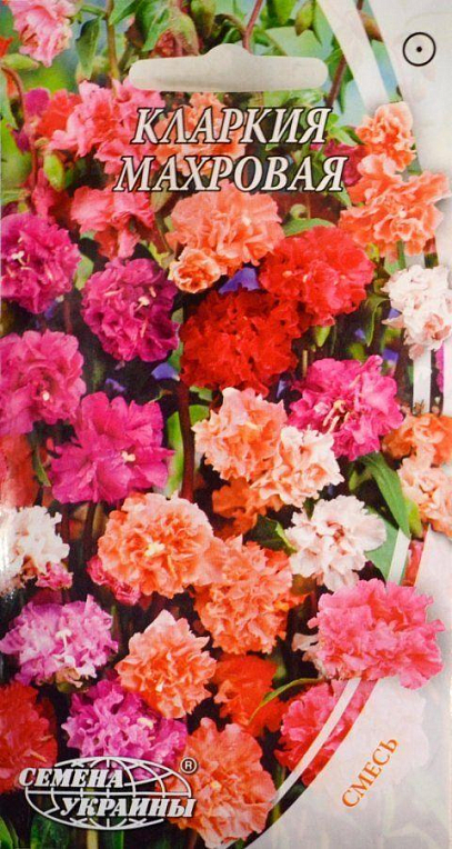 Кларкия махровая ТМ "Семена Украины" 0.5г