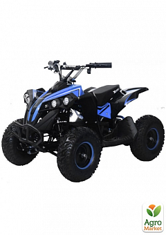 Квадроцикл аккумуляторный FORTE ATV1000QB синий 1000Вт 48В (119384)1