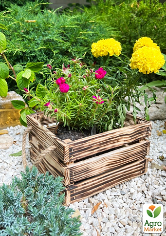 Ящик декоративний дерев'яний для зберігання та квітів "Джусіно" довжина 22см, ширина 20см, висота 13см. (обпалений з ручками) - фото 2