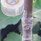 Лента для прививки деревьев и винограда 2.6-3 см саморазрушающаяся 100м купить