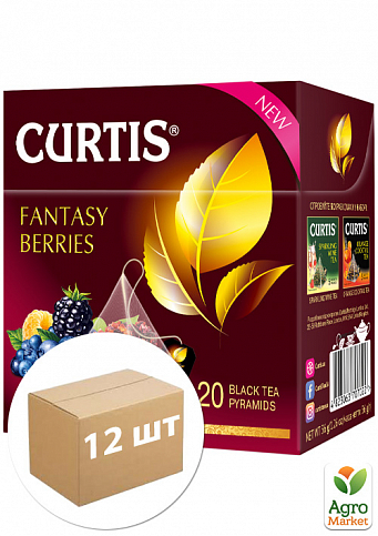 Чай Fantasy Berries (пачка) ТМ «Curtis» 20 пакетиків по 1.8г. пакування 12шт