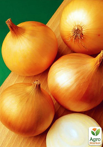 Цибуля-сіянка 1кг (арбажейка) "Халцедон" (Україна)