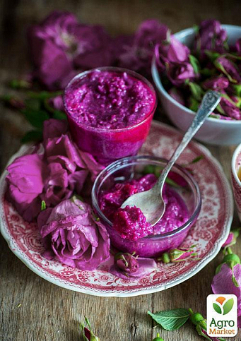 Ексклюзив! Троянда чайно-гібридна пурпурно-рожева "Мадмуазель" (Mademoiselle) (сорт на дуже смачне варення) - фото 2