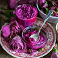 Ексклюзив! Троянда чайно-гібридна пурпурно-рожева "Мадмуазель" (Mademoiselle) (сорт на дуже смачне варення) купить