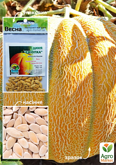 Дыня "Эфиопка" (Зипер) ТМ "Весна" 3г